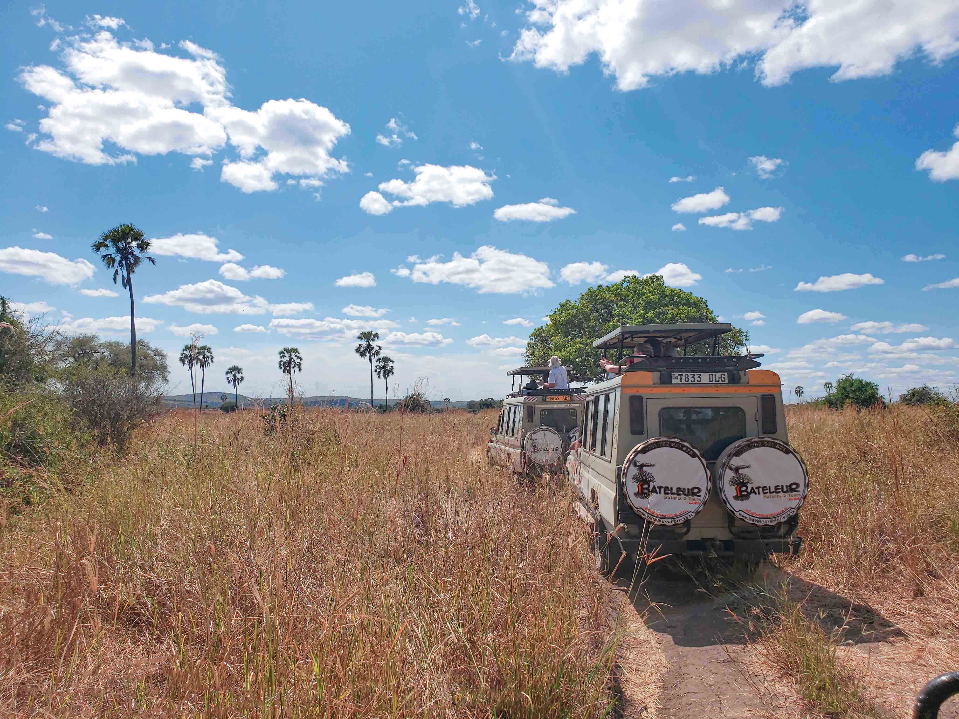 3 DAYS SAFARI TO RUAHA NATIONAL PARK