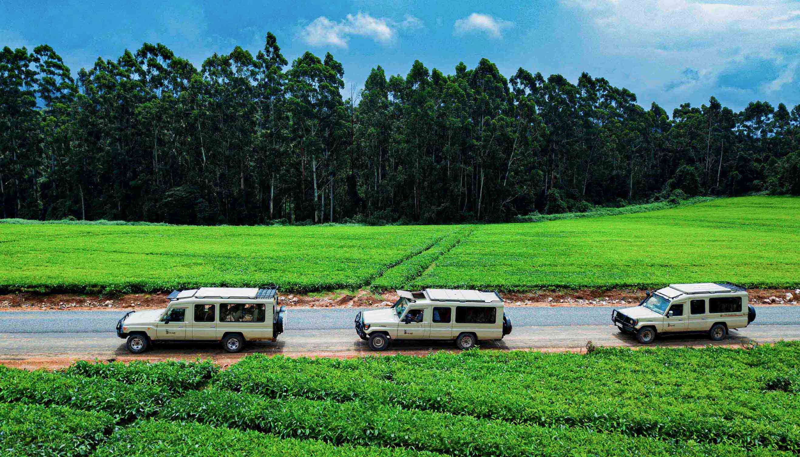 3 DAYS SAFARI TO MUFINDI
