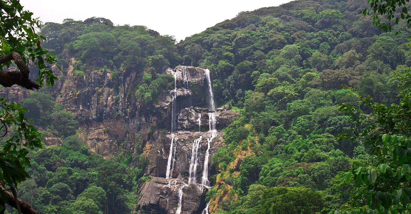 7 DAYS SPECIAL SAFARI PACKAGE TO SOUTHERN TANZANIA