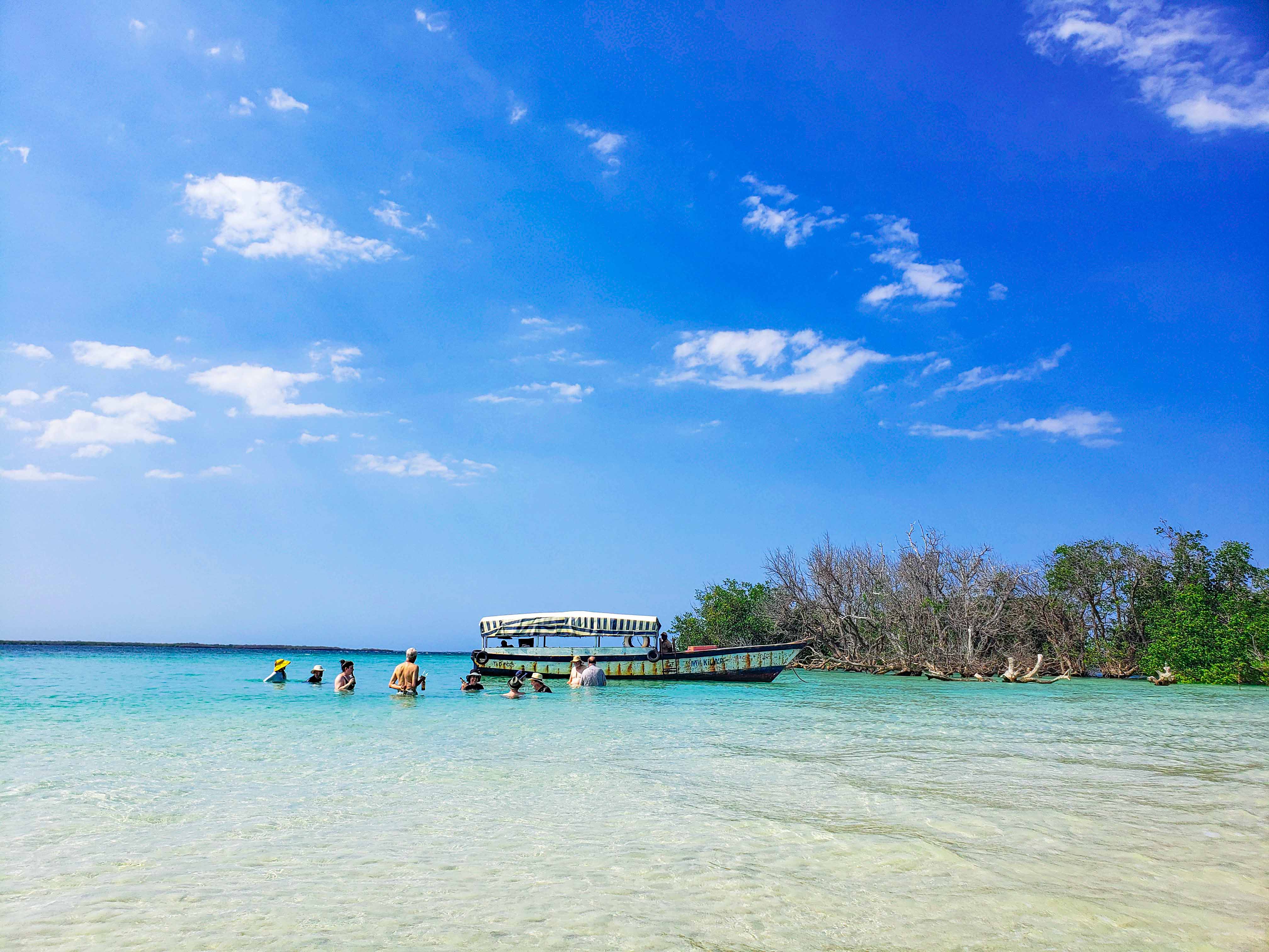 Go wild in Eastern Tanzania (Zanzibar)