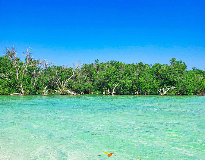 Pemba Nkamandume Tour 