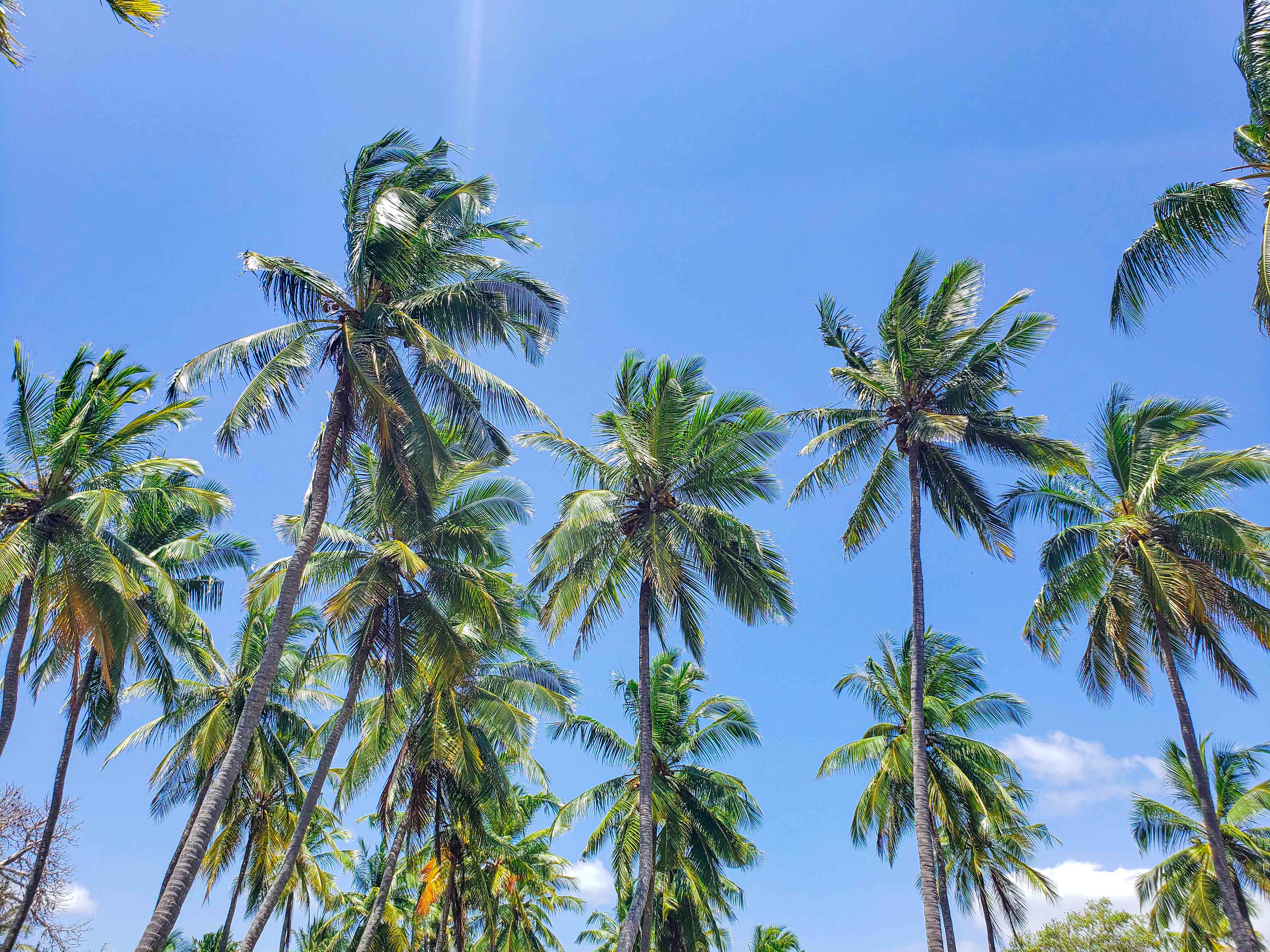 Pemba Explorer North Tour