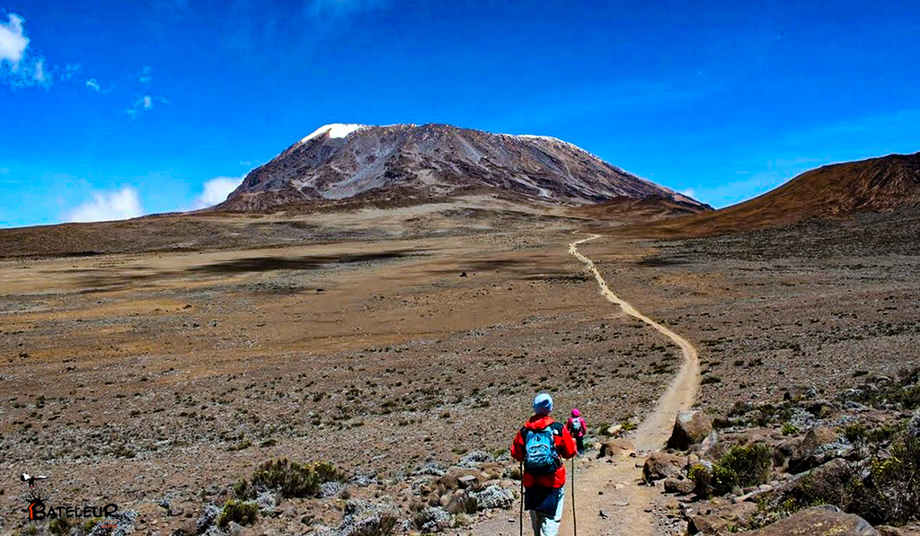 8 DAYS KILIMANJARO LEMOSHO ROUTE SPECIAL SAFARI PACKAGE  